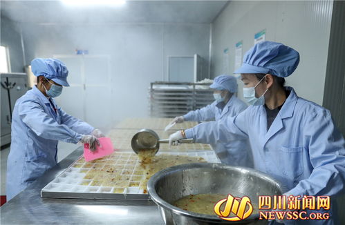 广安 乡村微工厂 富硒食品生产忙 图
